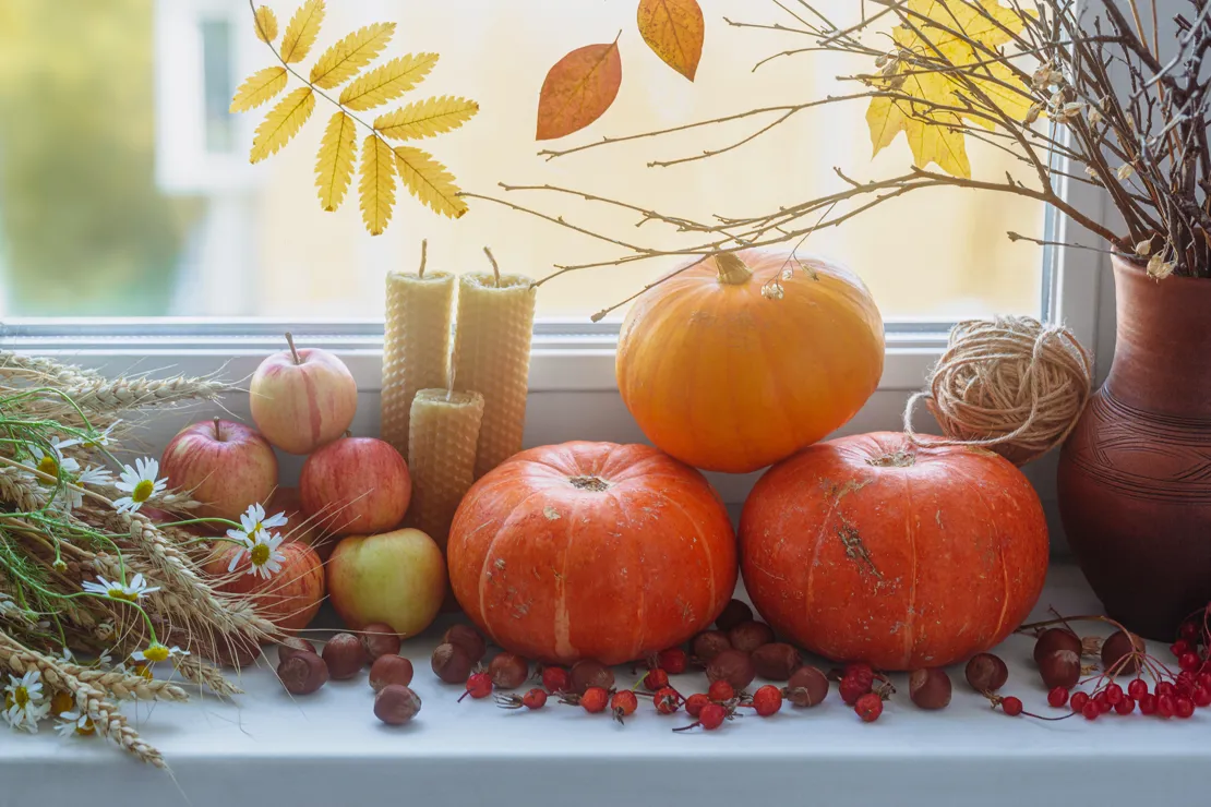 Autumnal Windowsill Display Complete With Pumpkins And Dried Flowers