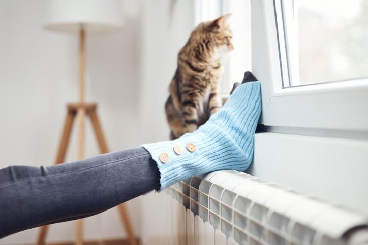 Woman's feet in blue woolly socks propped up on the radiator with her pet cat.