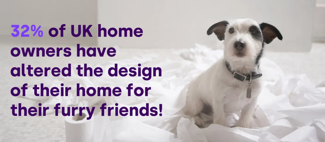 Would YOU Alter The Design Of Your Home For Your Furry Friends