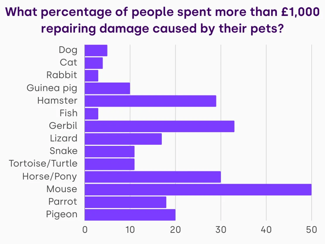 Damage Done By Pets (1)
