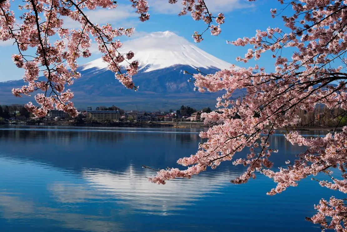 Mount Fuji with cherry blossoms